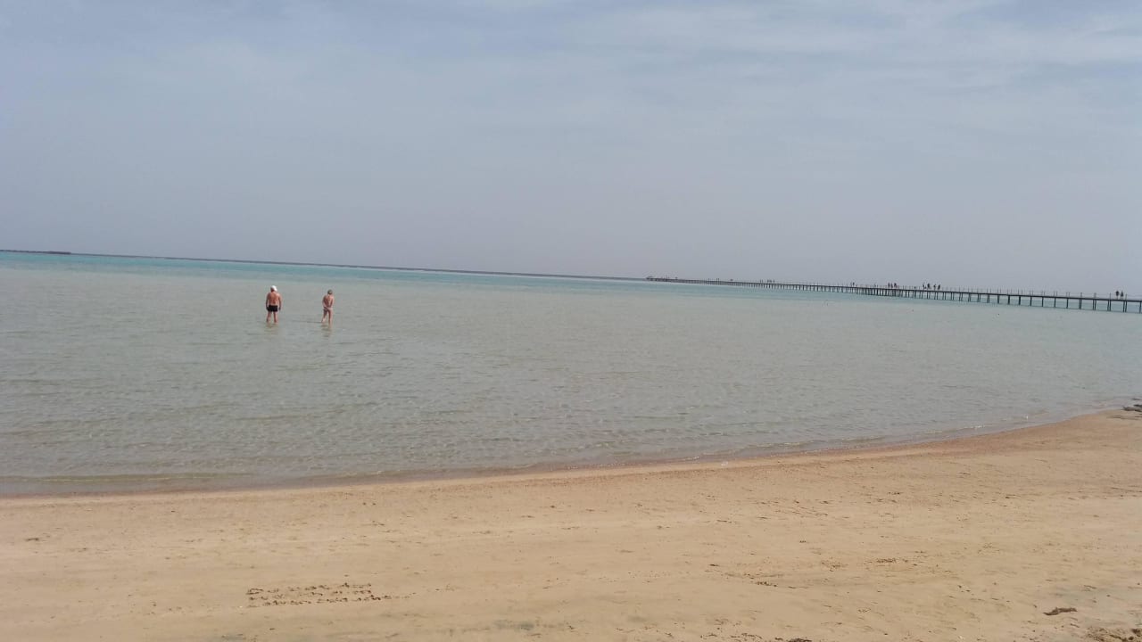 Strand mit Steg zum Riff Casa Mare Resort