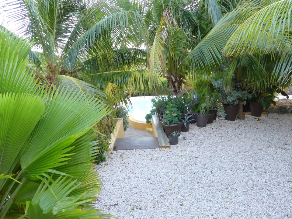 Stufen zum Pool Jan Kok Lodges