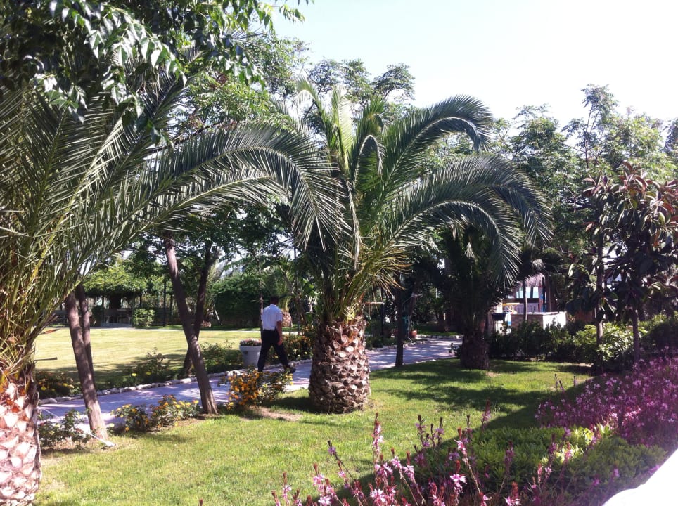 Weg zum Strand Belek Beach Resort Hotel