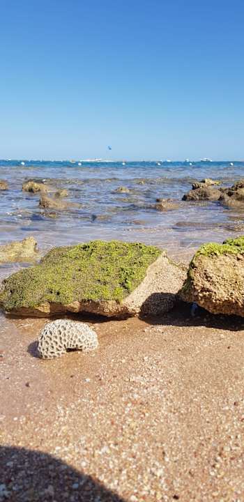 Strand Jaz Makadi Oasis Resort