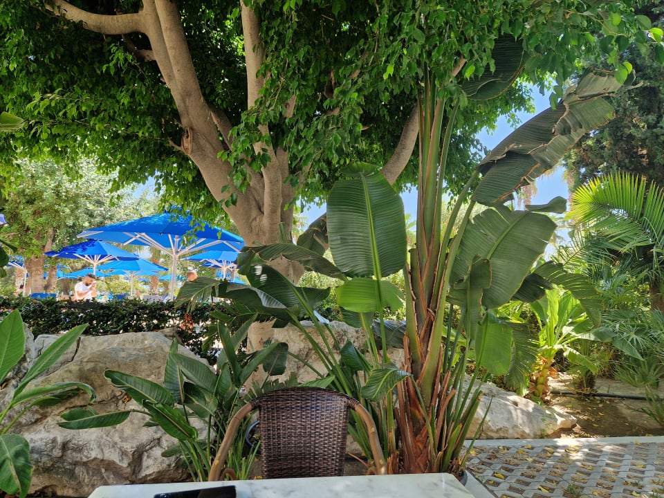 Gartenanlage Esperides Beach Resort