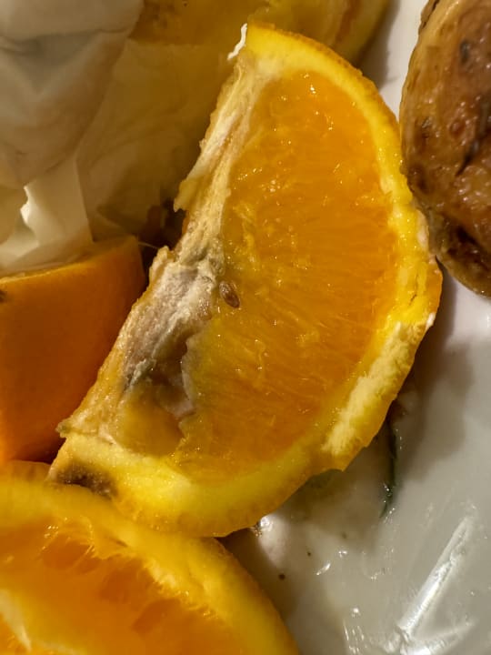 Gastro Seaden Sea Planet Resort & Spa
