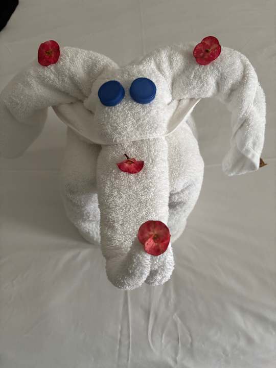 Zimmer JAZ Neo Reef Marsa