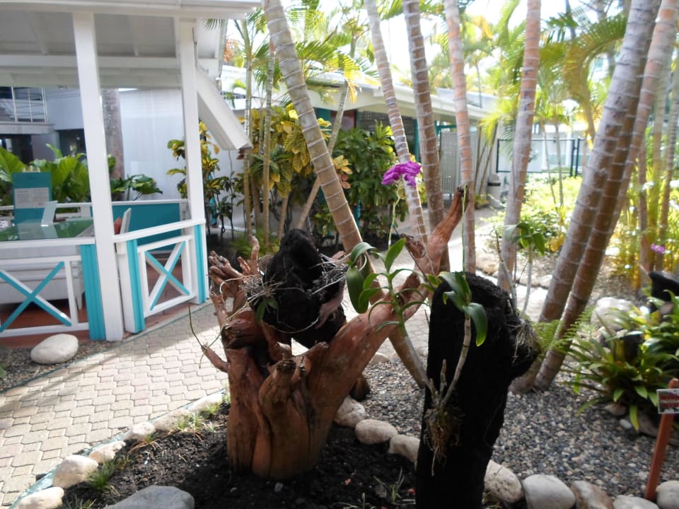   Garten Grand Paradise Playa Dorada