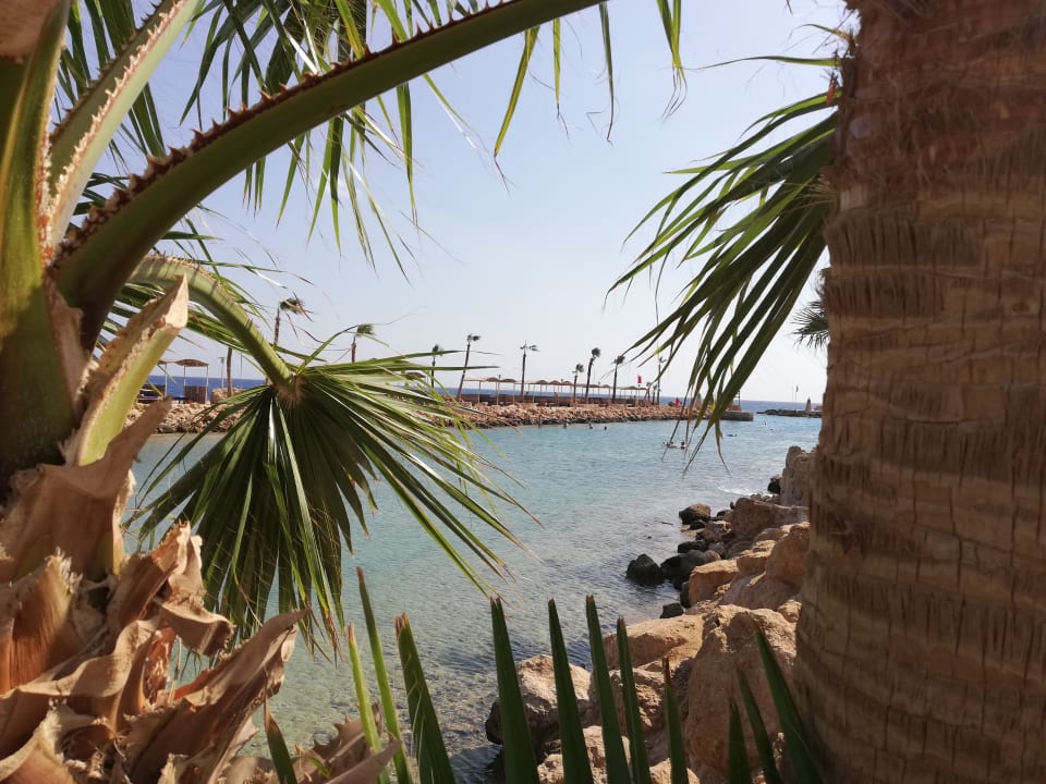 Ausblick Pickalbatros Citadel Resort