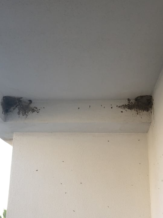 Zimmer Seaden Sea World Resort & Spa