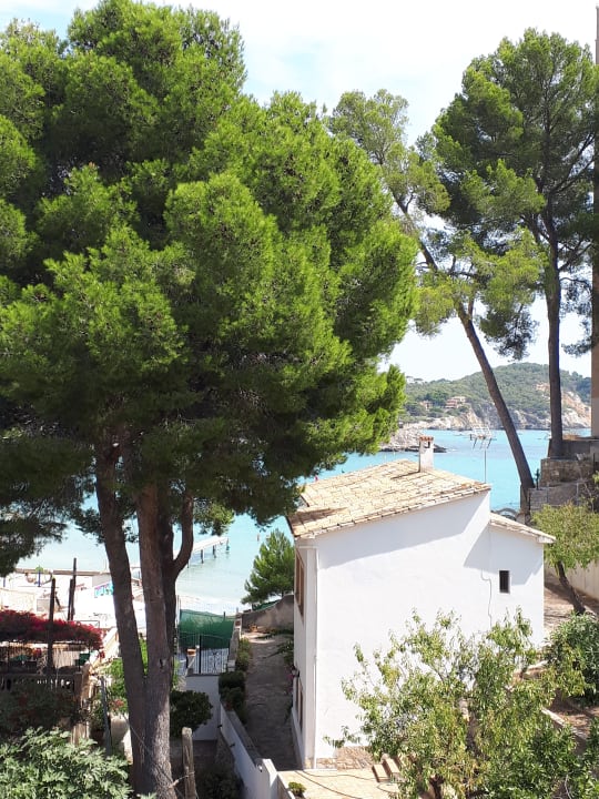 Ausblick FLOR los Almendros Hotel