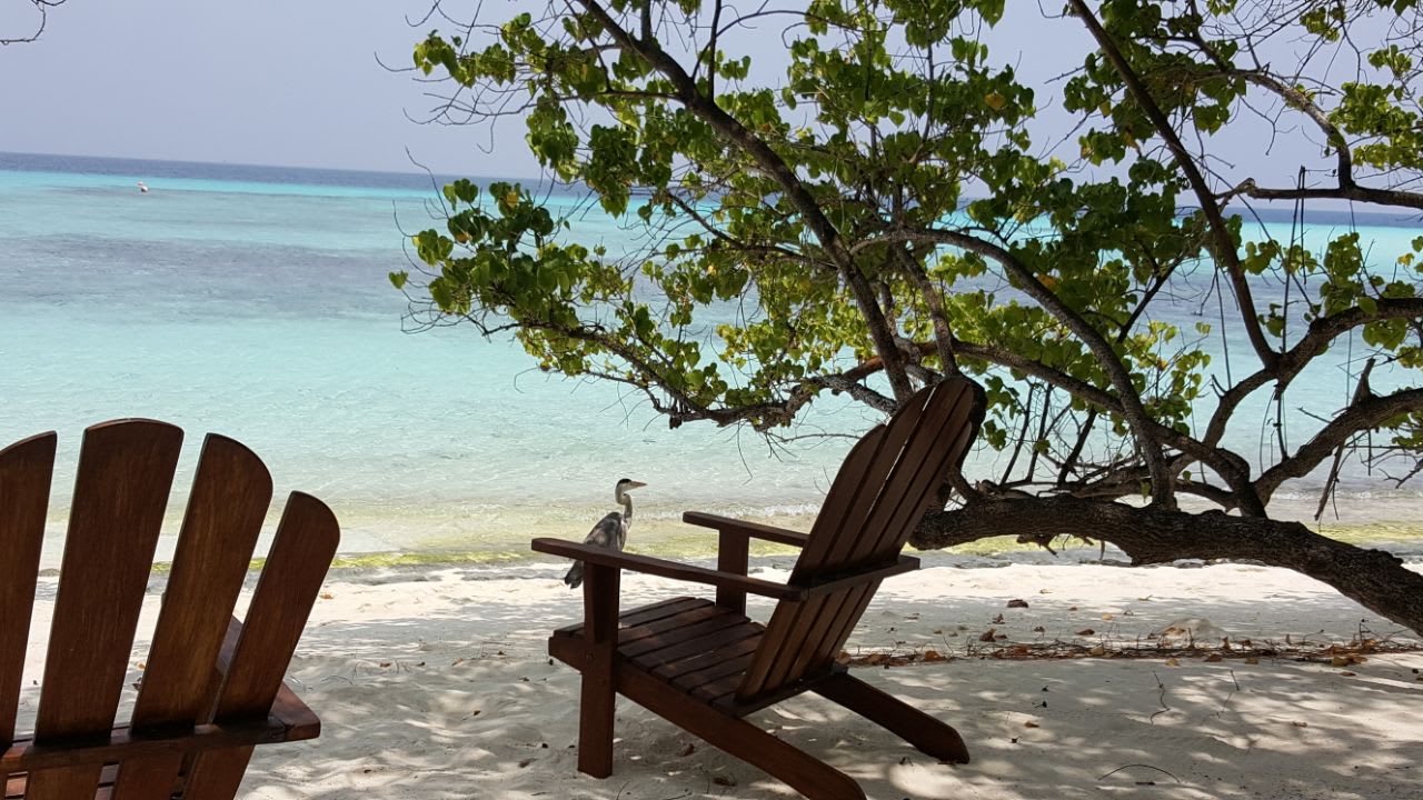 Strand Summer Island Maldives