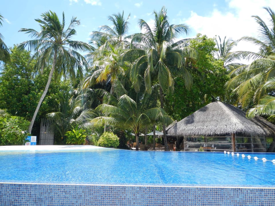 Infinity Pool Kuramathi Maldives