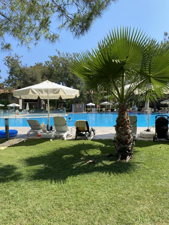 Pool Xanadu Resort Hotel