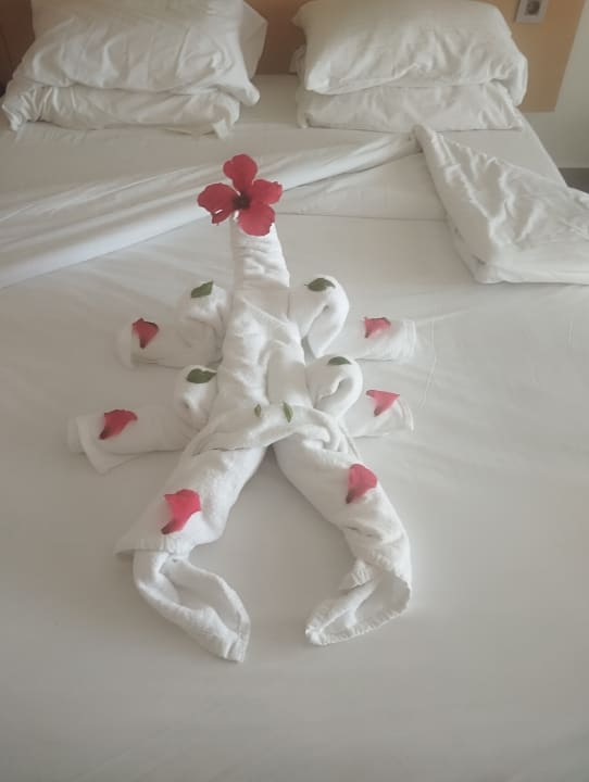 Zimmer Novotel Marsa Alam Beach Resort