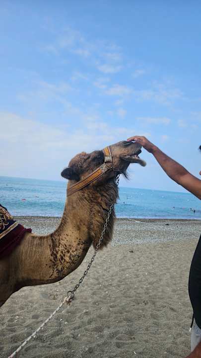 Sonstiges Siam Elegance Hotels & Spa