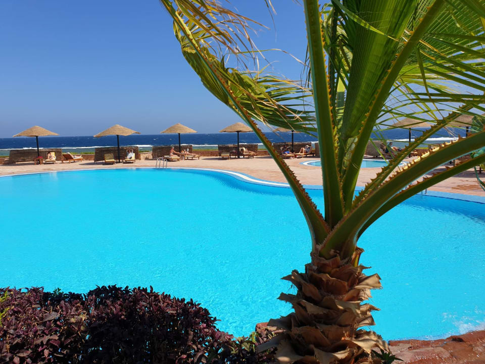 Pool Mövenpick Resort El Quseir