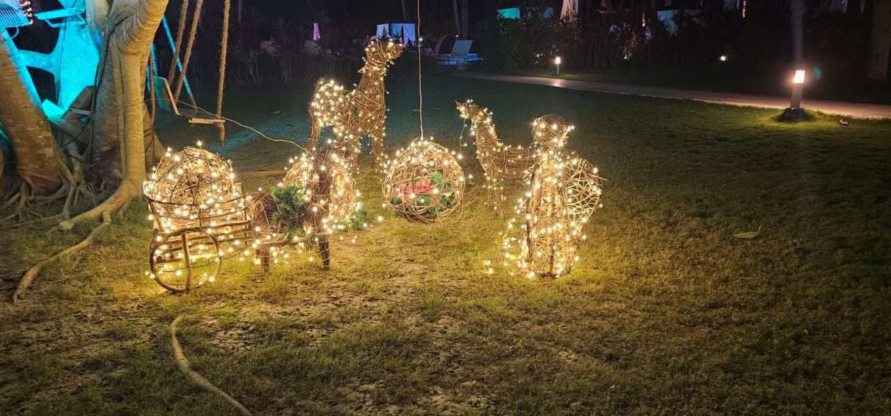 Gartenanlage Viva Wyndham Samaná