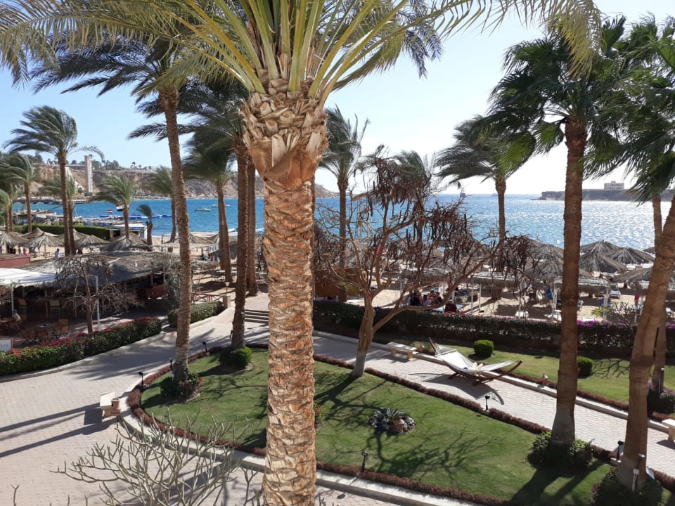 Ausblick Iberotel Palace