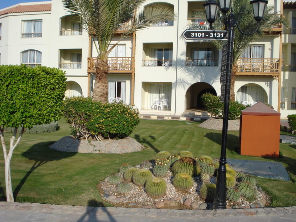 Schön anzusehen Pickalbatros Dana Beach Resort - Hurghada
