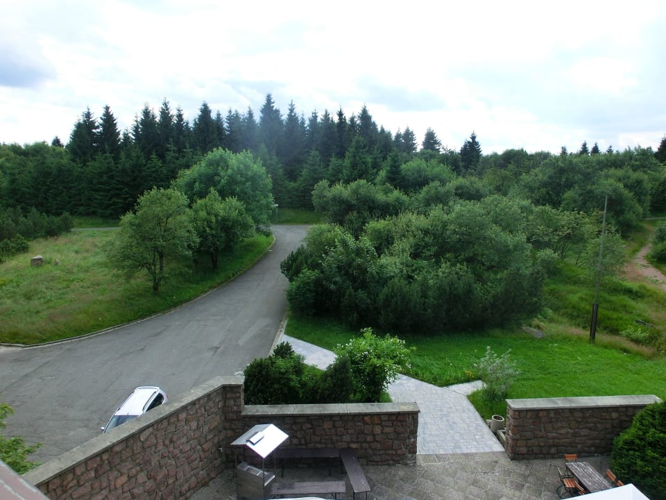 Blick zum Wald Hotel Lugsteinhof