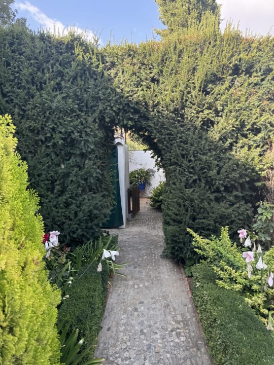 Gartenanlage Hotel Alavera de los Banos