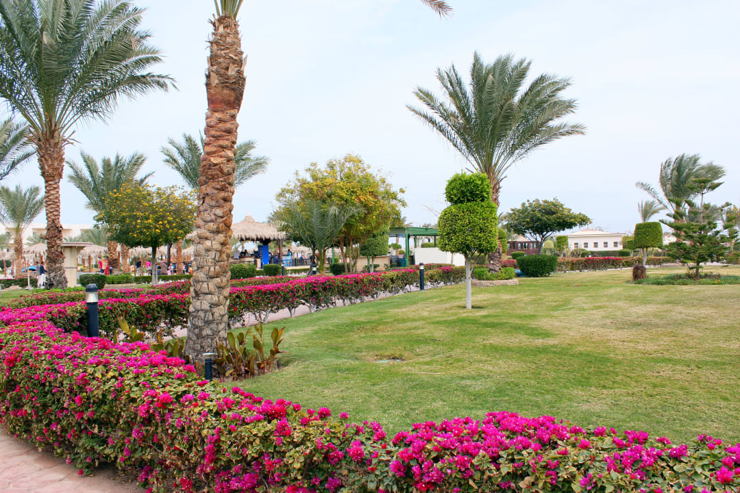 Территория отеля Hurghada Long Beach Resort