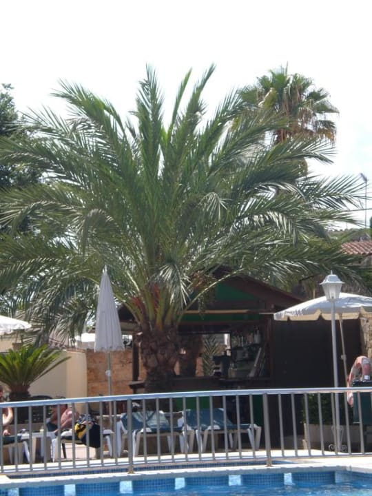 Pool-Bar Hotel Don Miguel