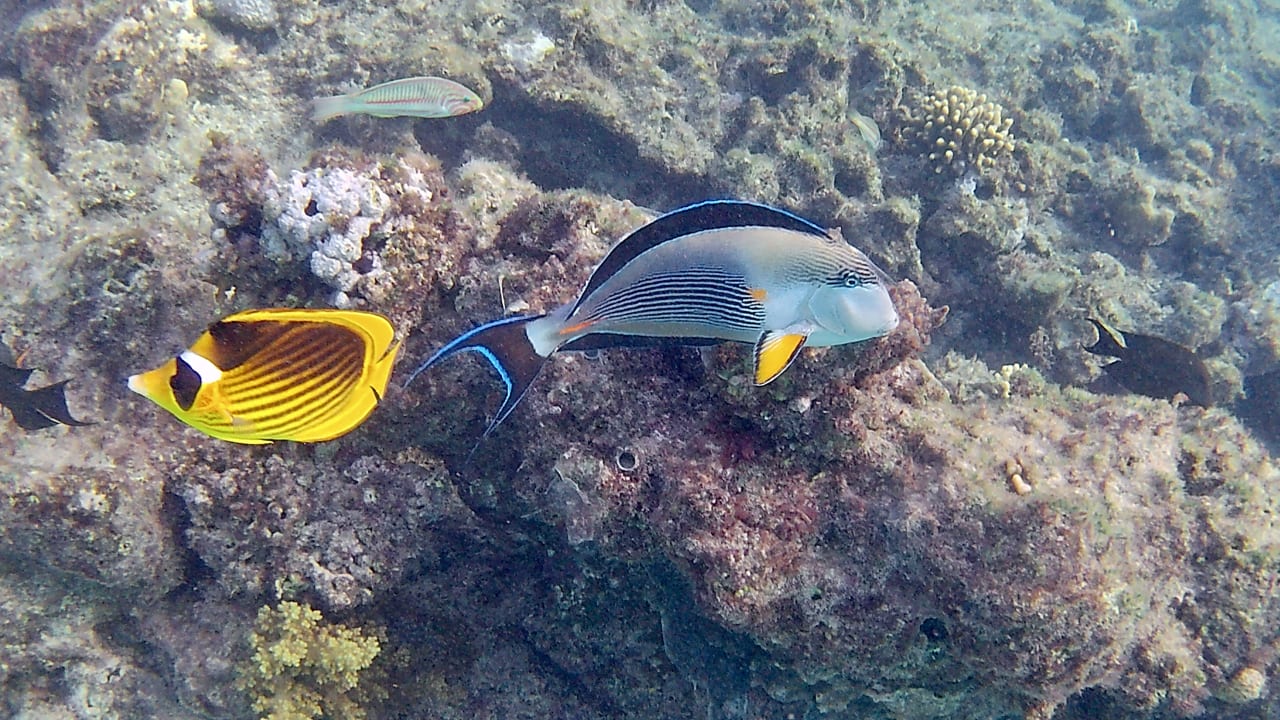 Sport & Freizeit Makadi Spa - Adults only