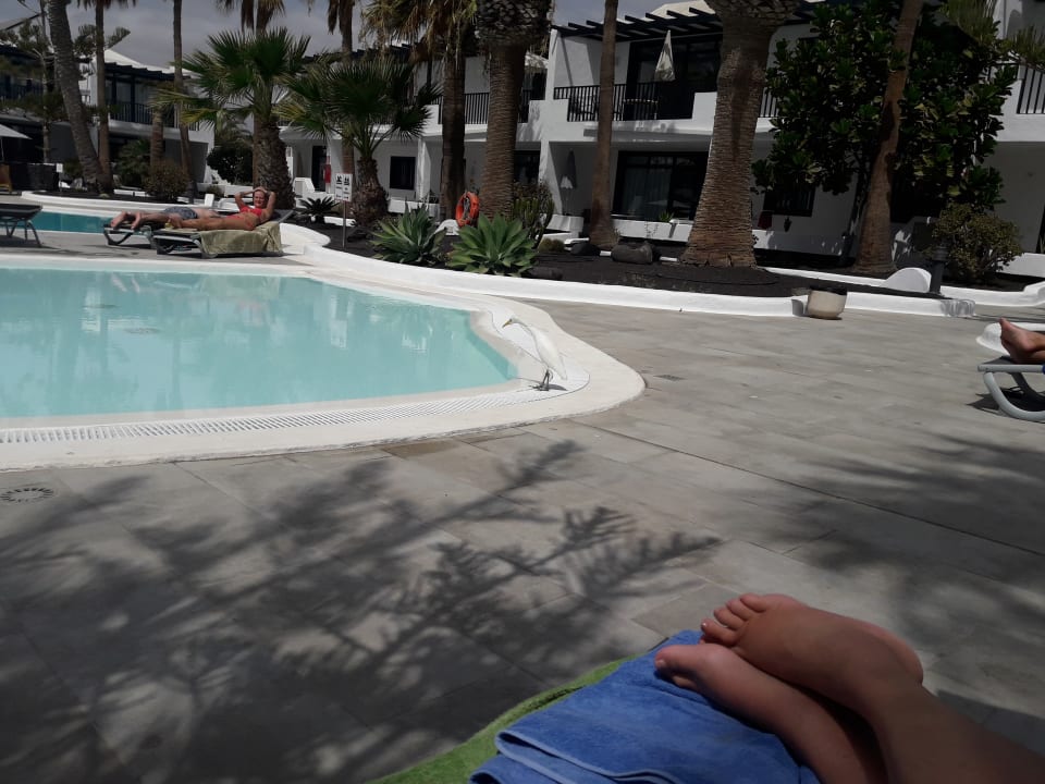 Pool Bungalows & Appartements Playamar