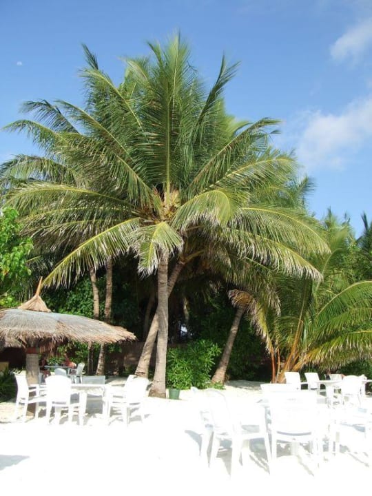Die Strandbar Summer Island Maldives
