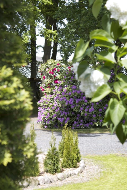 Blumen Ferienhaus Ostehof Weertzen