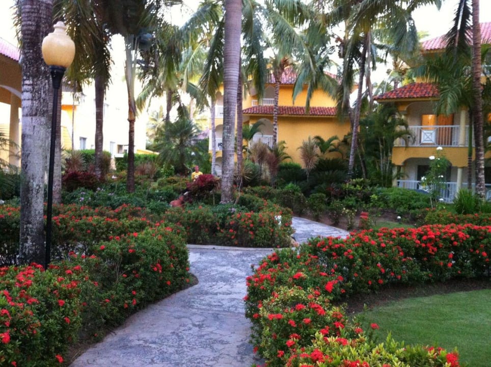 Hotel Viva Wyndham Tangerine Viva Tangerine by Wyndham - All Inclusive Resort