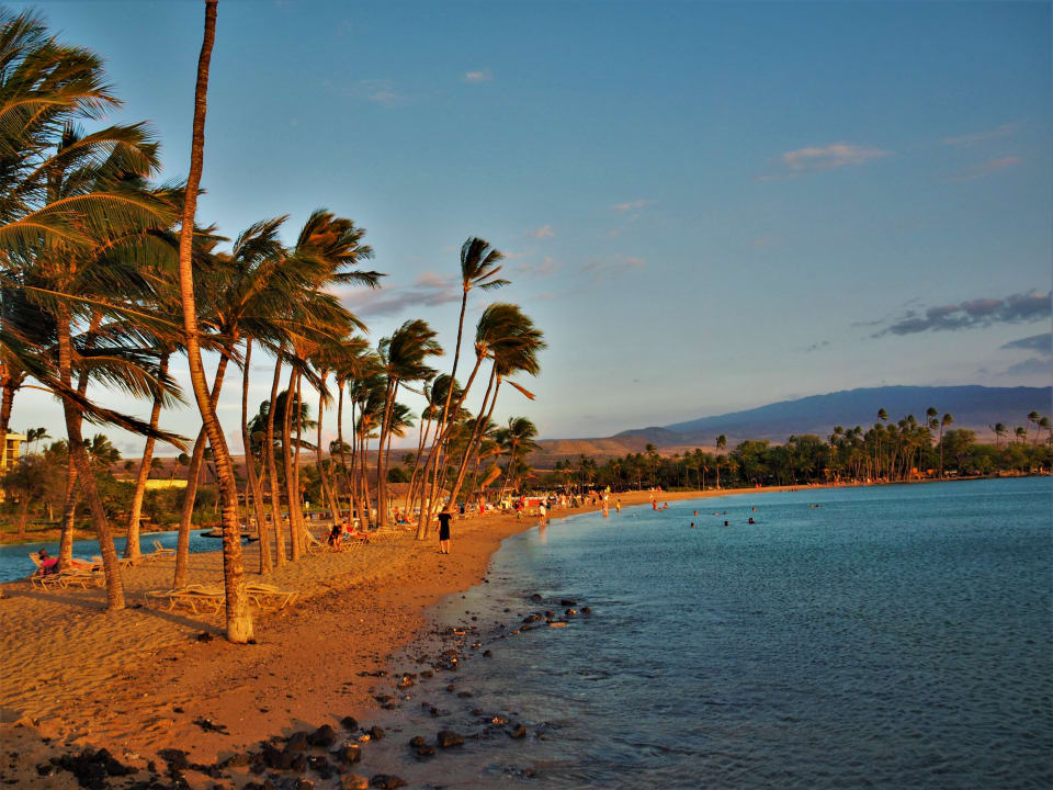 Strand Hotel Waikoloa Beach Marriott