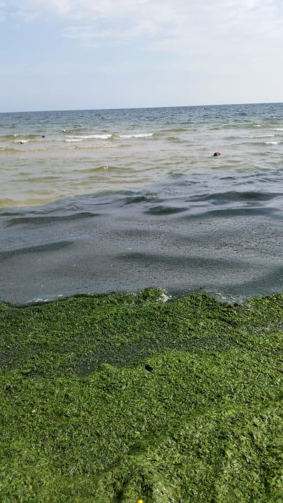 BADEN IM MEER UNMÖGLICH Hotel El Mouradi Skanes Beach