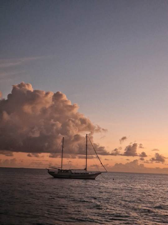Ausblick Kuredu Island Resort & Spa
