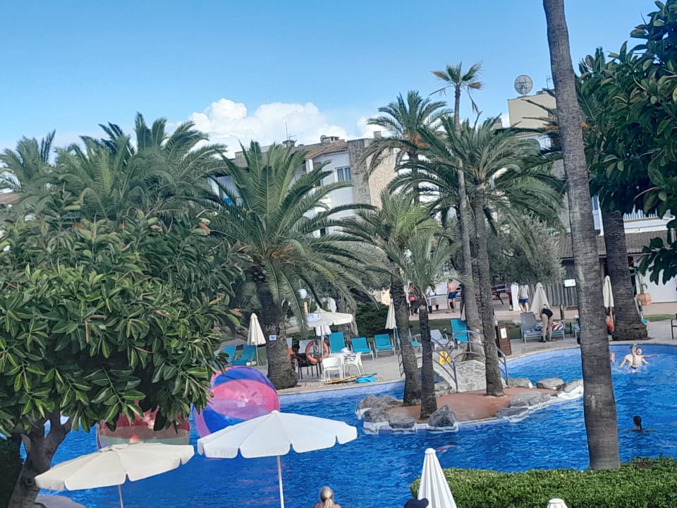 Pool Alcudia Garden Aparthotel