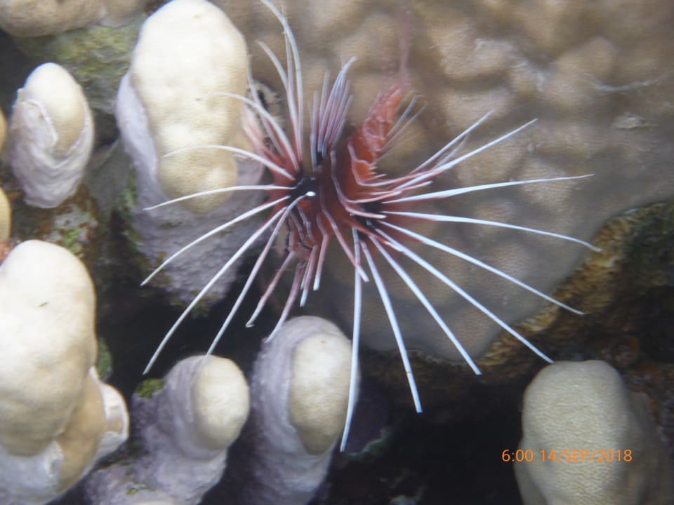 Sport & Freizeit Malikia Resort Abu Dabbab