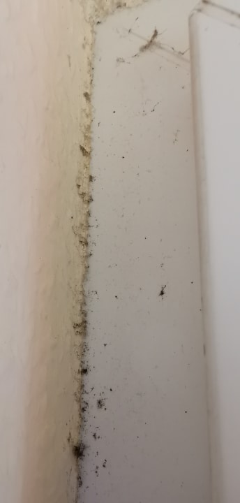 Zimmer Center Parcs Park Bostalsee