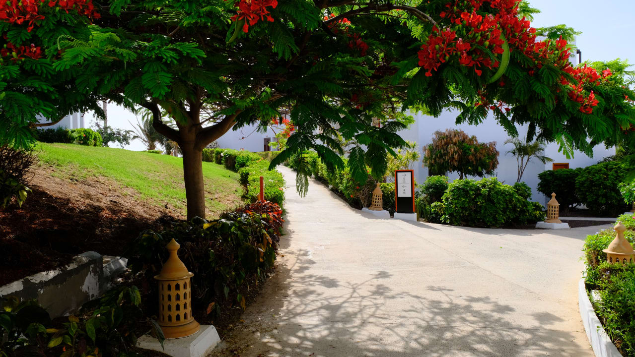 Gartenanlage Fuerteventura Princess