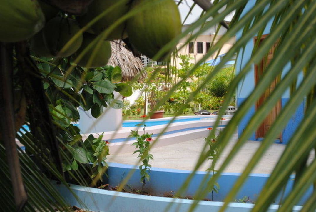 Guest Pool La Ceiba Beach Club