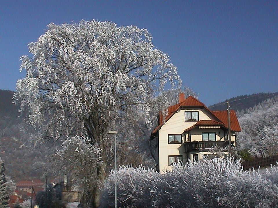 Außenansicht Ferienwohnung Panorama