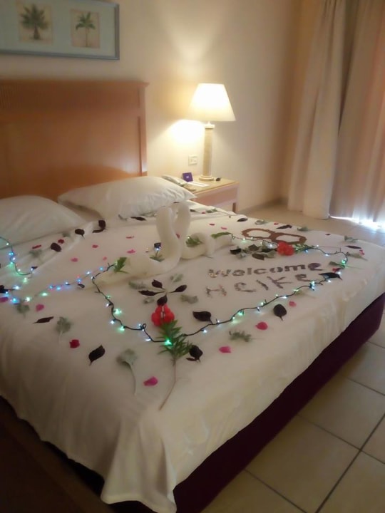 Zimmer Hotel JAZ Makadi Star & Spa