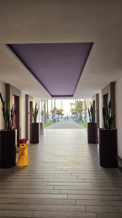 Ausblick Hotel Riu Palace Tenerife