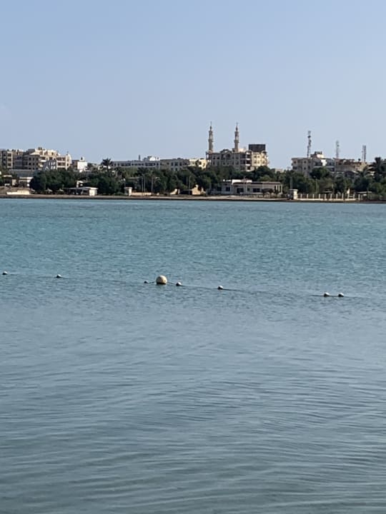 Strand Sea Star Beau Rivage