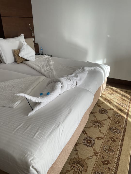 Zimmer Steigenberger Makadi Hotel - Adults only