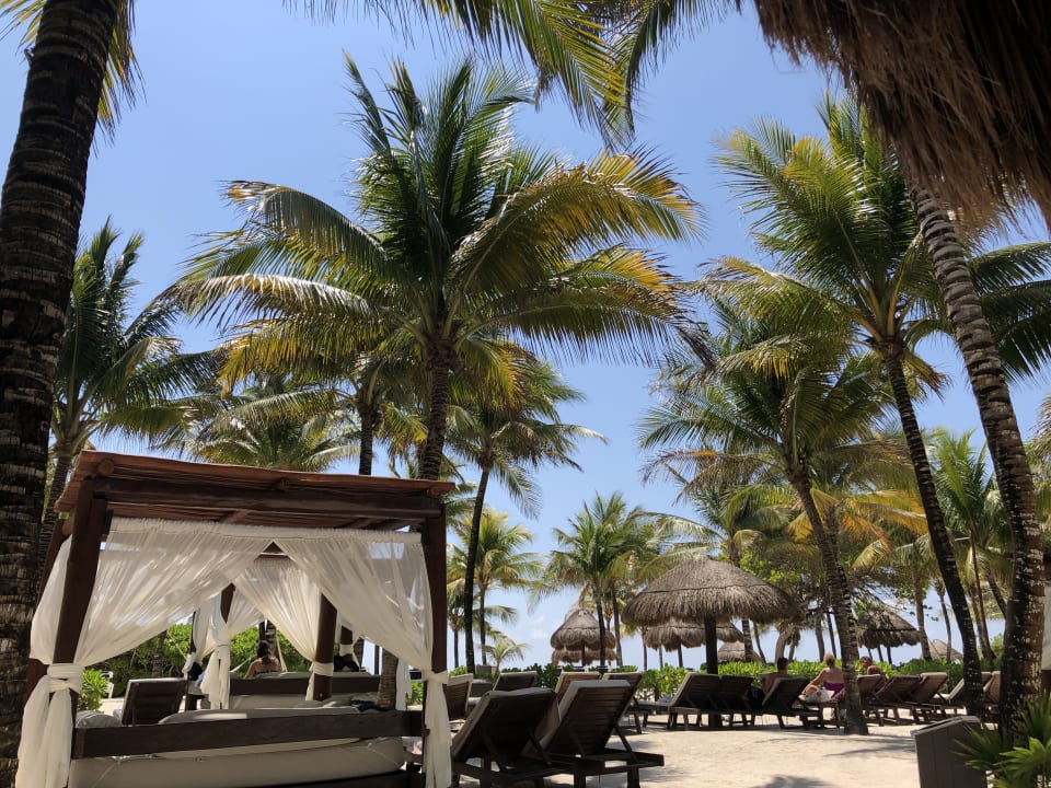 Strand TRS Yucatan Hotel - Adults only
