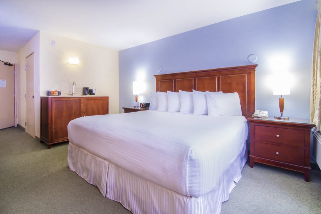 Business King Porto Vista Hotel