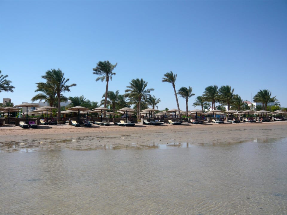 Strand vom Wasser aus gesehen Golden Beach Resort