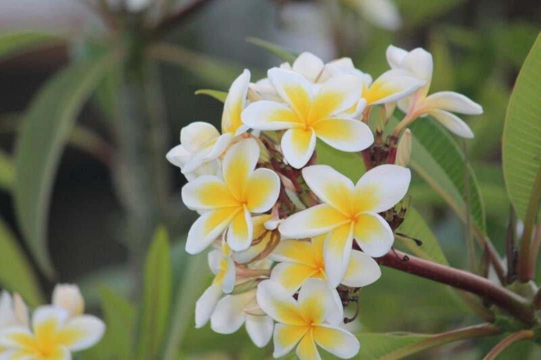So schön kann Urlaub sein Ghazala Gardens