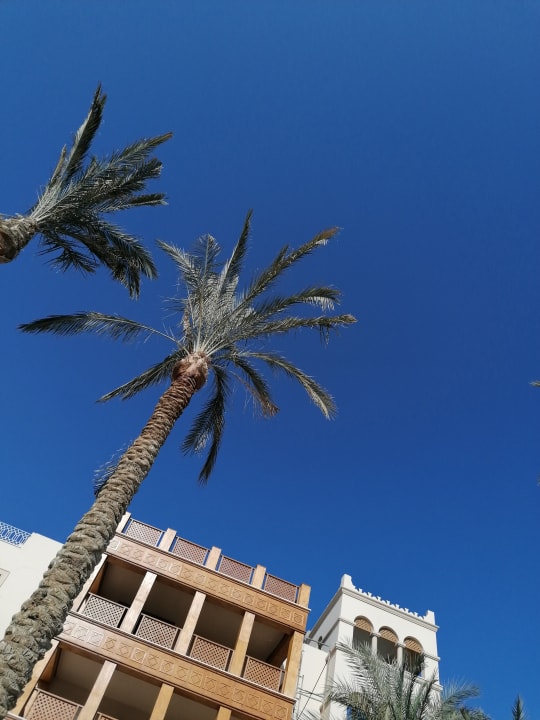 Gartenanlage The Grand Palace - Adults only