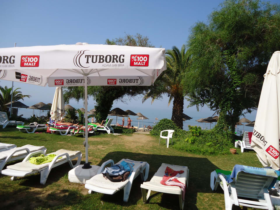 Wer keinen Sand mag,kann sich auf´m Gras vergnügen Dogan Paradise Beach