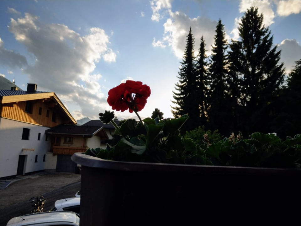 Ausblick Pension Alpina Obsteig