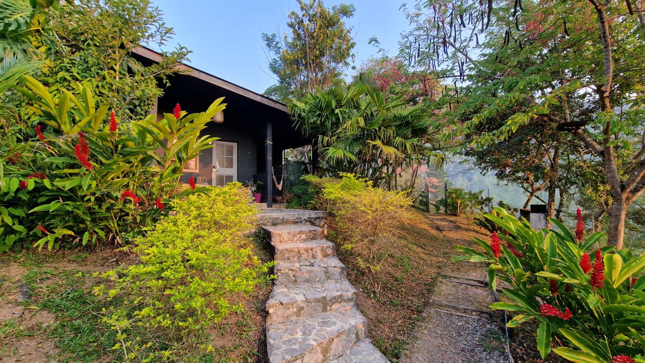 Gartenanlage Zephyr River Lodge